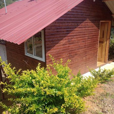 Mario'S Lodge Providencia Copey ภายนอก รูปภาพ