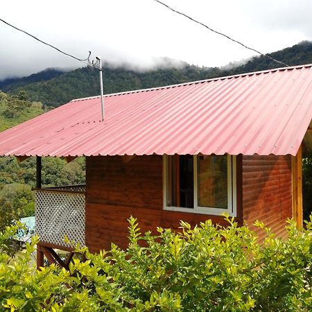 Mario'S Lodge Providencia Copey ภายนอก รูปภาพ