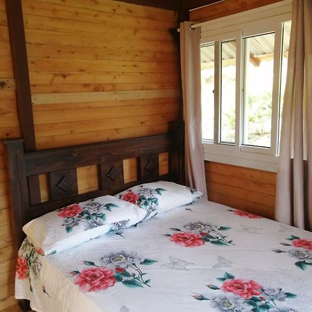 Mario'S Lodge Providencia Copey ภายนอก รูปภาพ