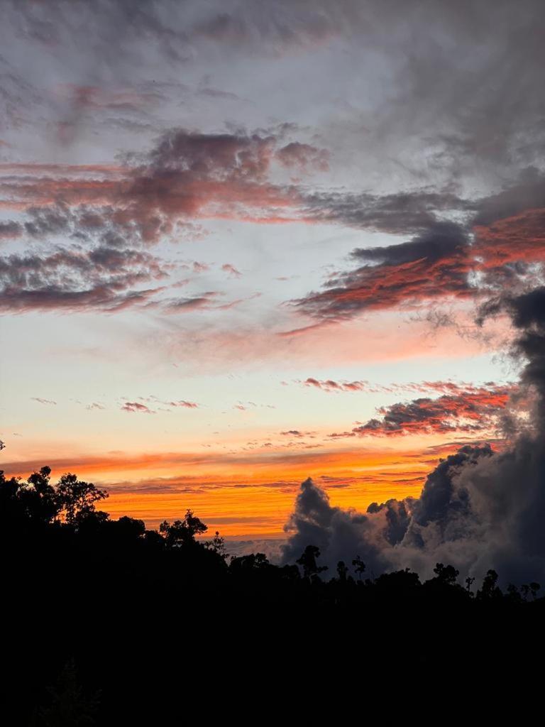 Mario'S Lodge Providencia Copey ภายนอก รูปภาพ
