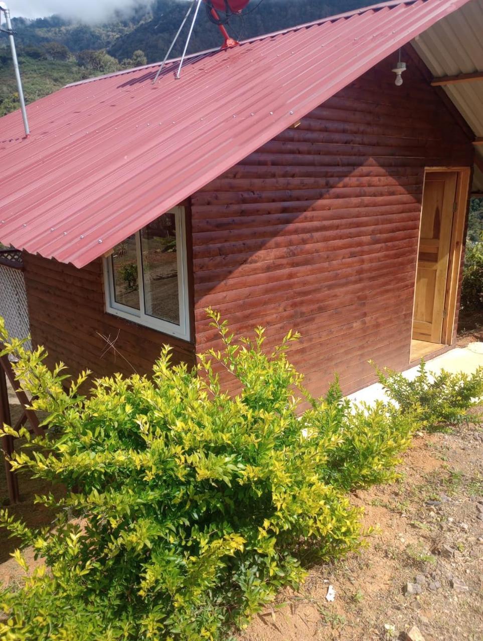 Mario'S Lodge Providencia Copey ภายนอก รูปภาพ