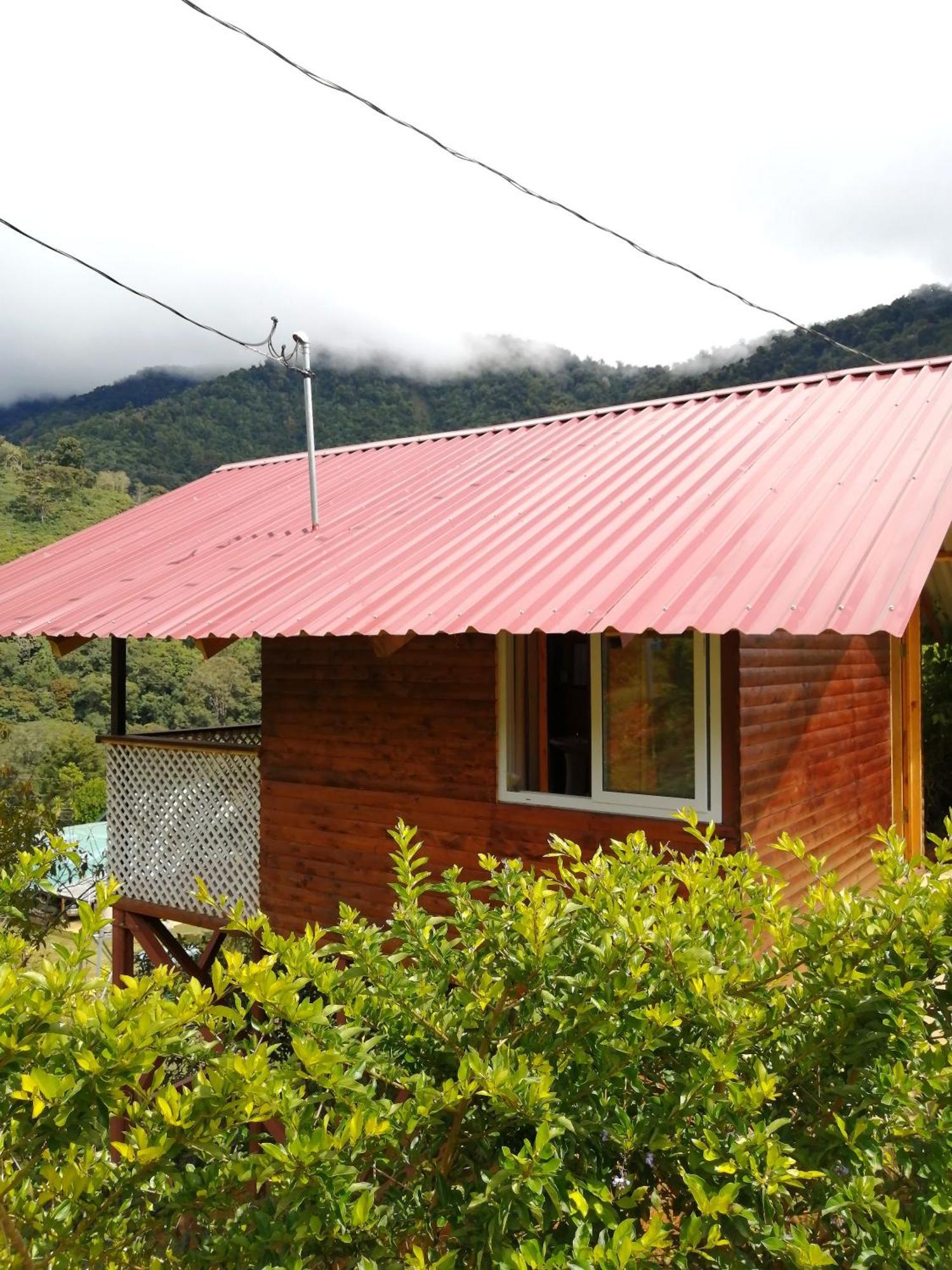 Mario'S Lodge Providencia Copey ภายนอก รูปภาพ