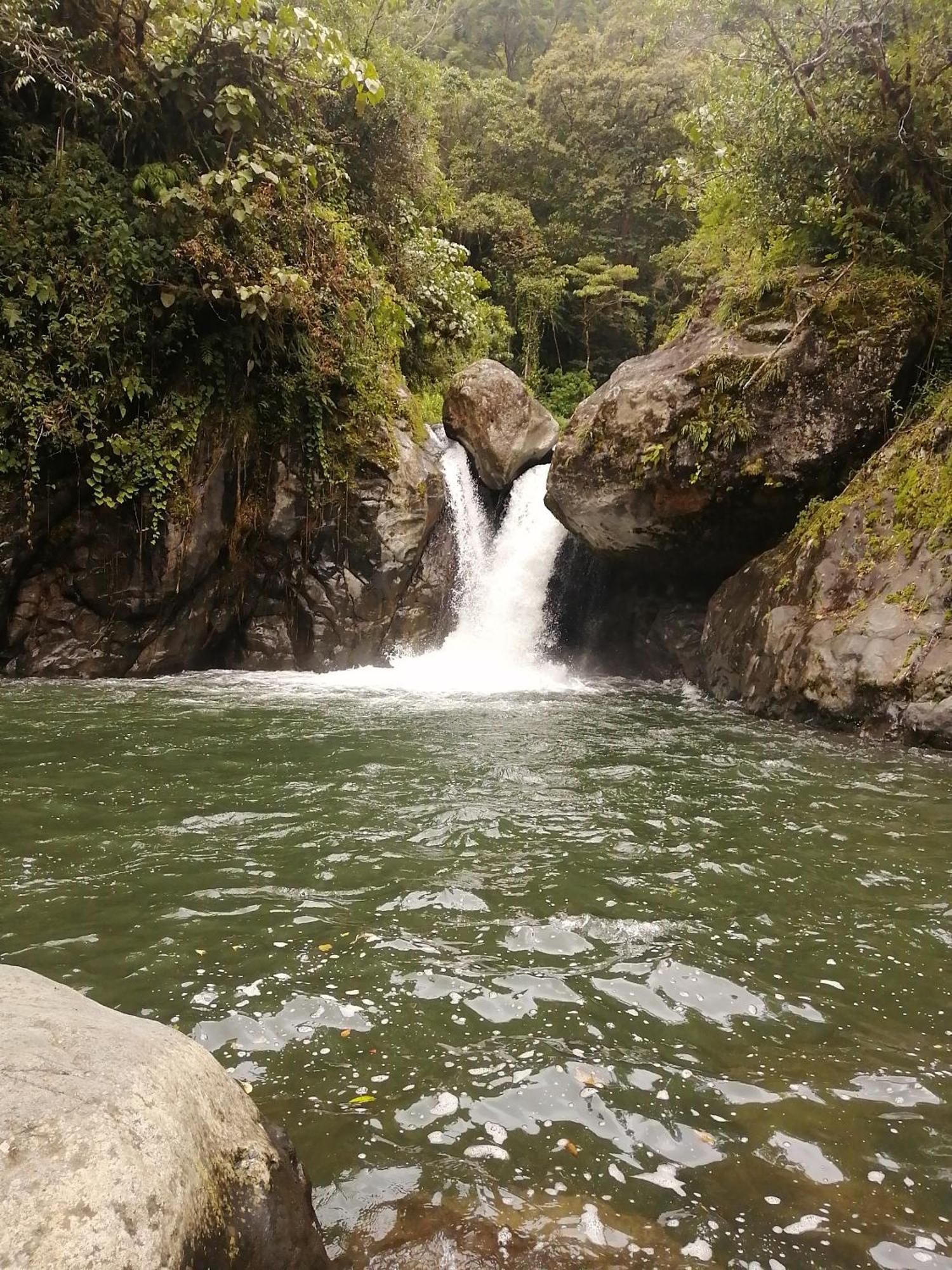Mario'S Lodge Providencia Copey ภายนอก รูปภาพ